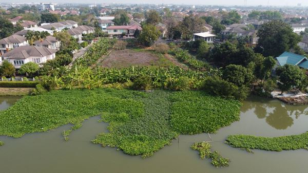 ขายที่ดินติดริมน้ำ เนื้อที่ 2 ไร่ 3 งาน 44 ตร.ว. ในหมู่บ้าน มณีรินทร์ เลค แอนด์ ลากูล รังสิต-ปทุมธานี อำเภอเมืองปทุมธานี โทร 0938141475